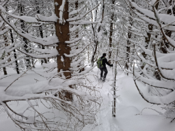 Schneeschuhwanderung Darmstädter Hütte, Januar 2026